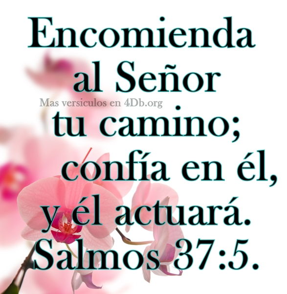 Comentarios En Frase De Agradecimiento A Dios Con Imagen | Auto Design Tech
