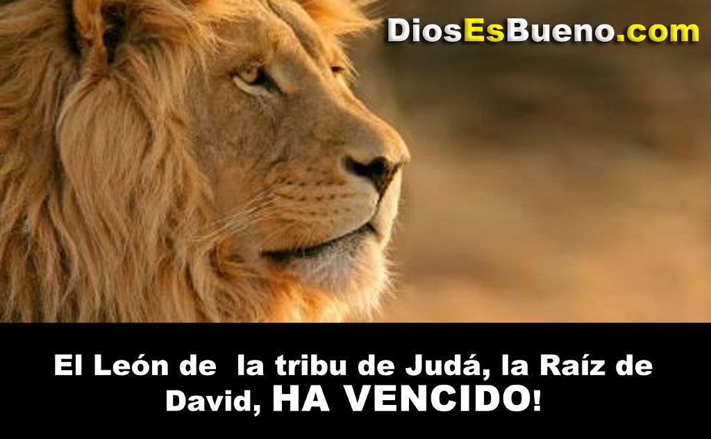 Dios Es Bueno Frases y Reflexiones Dios Bendice A Todos.