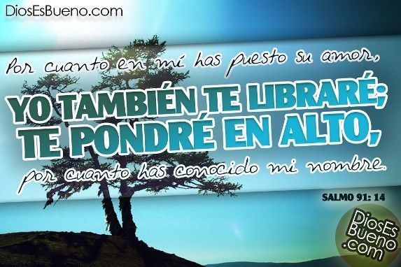 Te pondré en alto