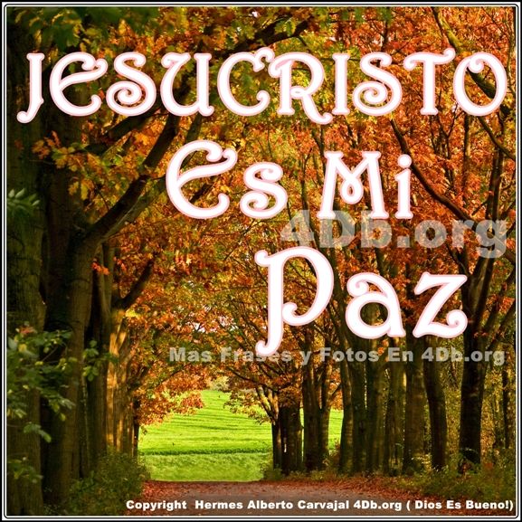 Dios Es Bueno Frases y Reflexiones Jesucristo Es Mi Paz