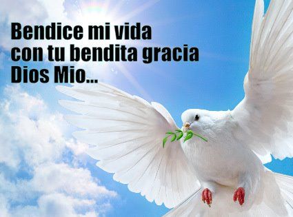 Dios Es Bueno Frases y Reflexiones Bendice Mi Vida - DiosEsBueno.Com