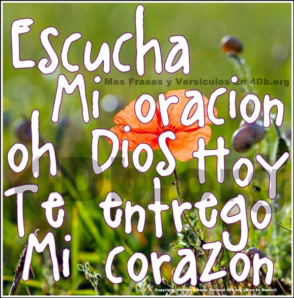 Dios Es Bueno Frases Y Reflexiones Escucha Mi Oración Oh Dios