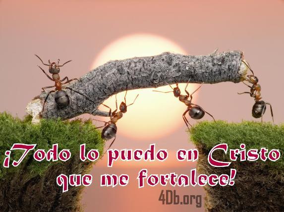 Dios Te Habla Filipenses 4:13 Imagenes de Dios Es Bueno Para compartir en Facebook