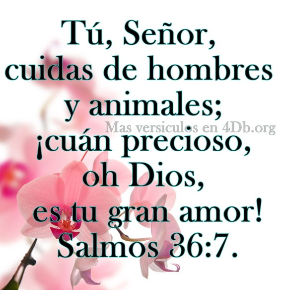 Salmos 36:7 Palabras Que Fortalecen Imagenes de Dios Es Bueno Para compartir en Facebook