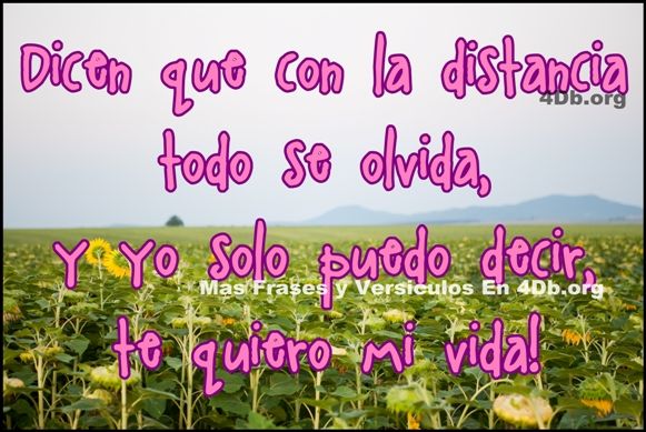 Frases Para Enamorar ¡te quiero mi vida!