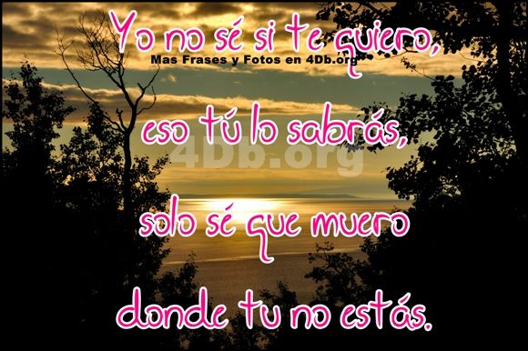 Frases Para Enamorar muero donde tu no estás.