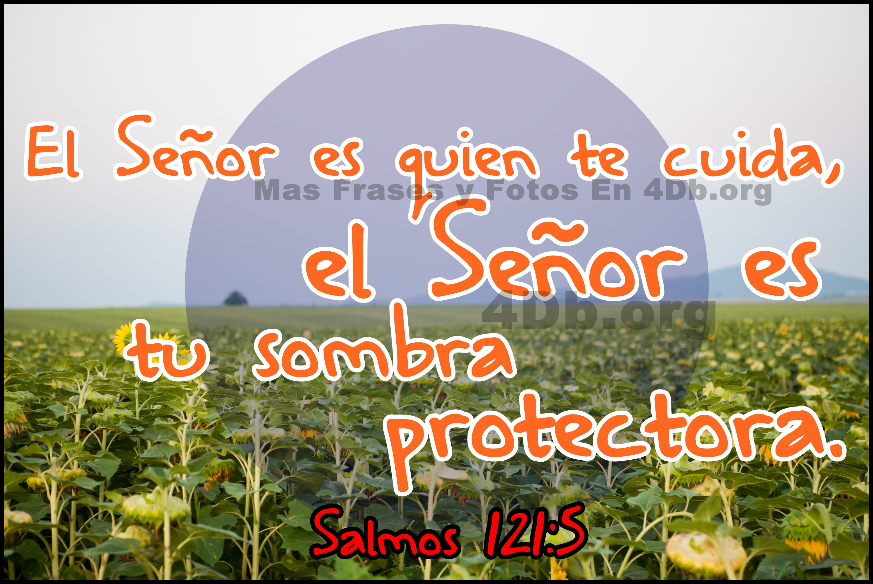 Dios Es Bueno Frases Y Reflexiones Salmos 121:5