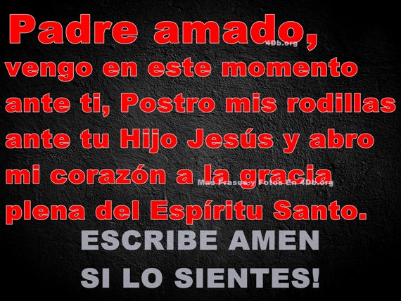 Padre Amado: