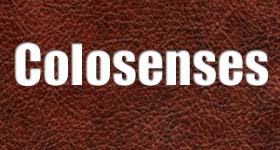 Colosenses