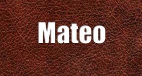 Mateo