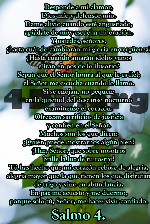 Salmo 4 Responde a mi clamor. Salmo 4 Responde a mi clamor.