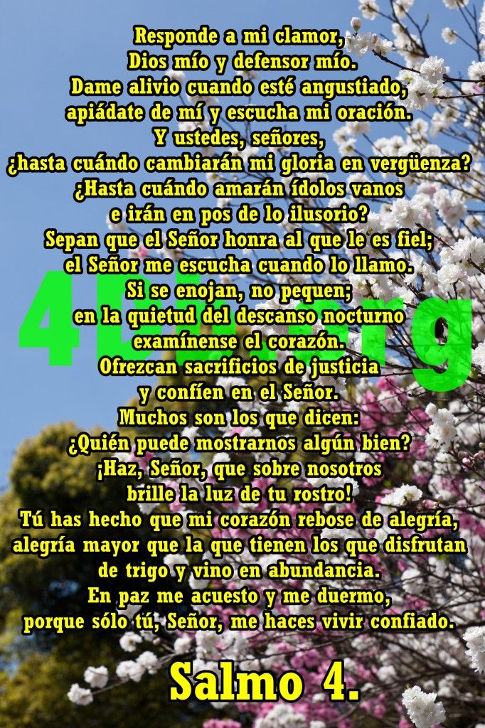 imagen de salmos 4