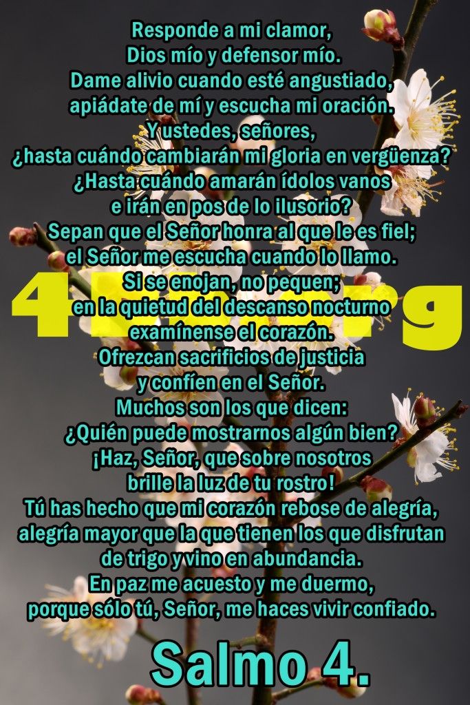 imagen de salmos 4