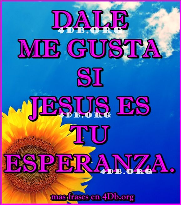 Jesús es tu esperanza.