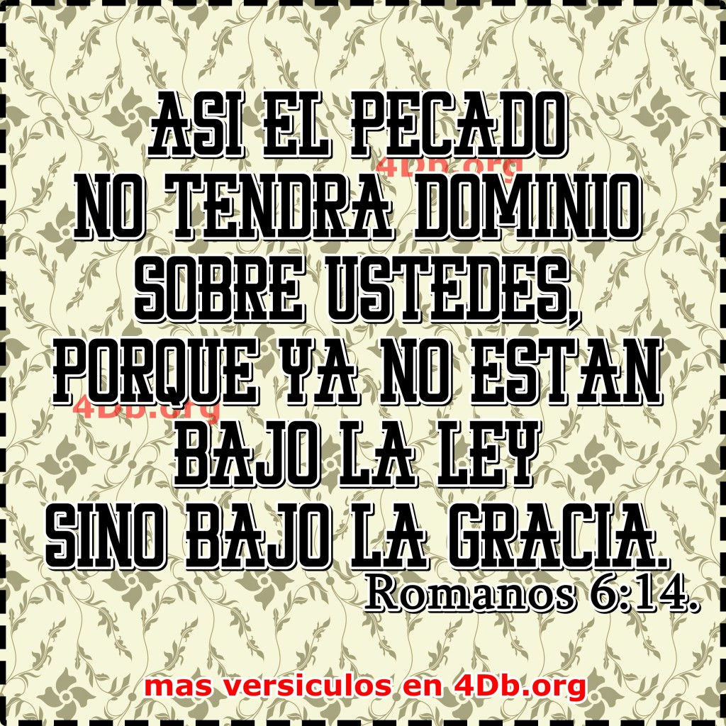 Descubrir 65+ imagen frases de romanos biblia - Viaterra.mx