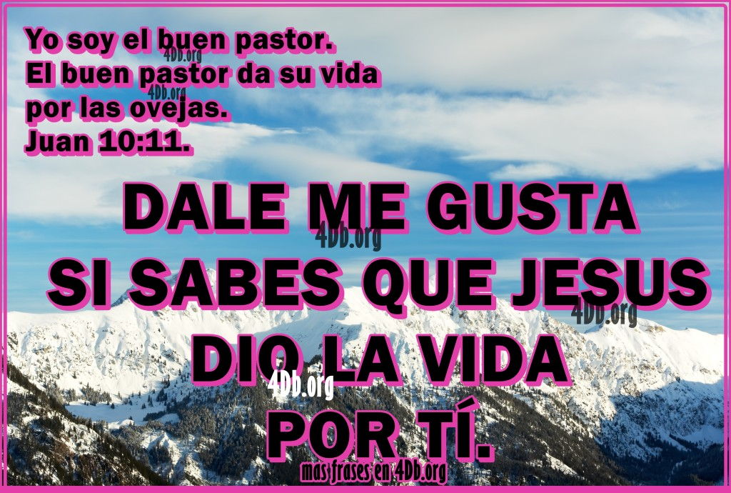 imagen de juan 10:11