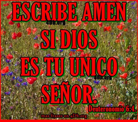 Escribe Amen si Dios es tu único Señor.