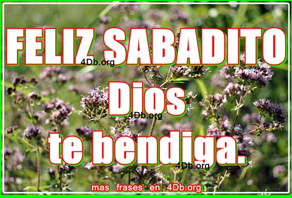 Feliz Sabadito Dios te bendiga!.