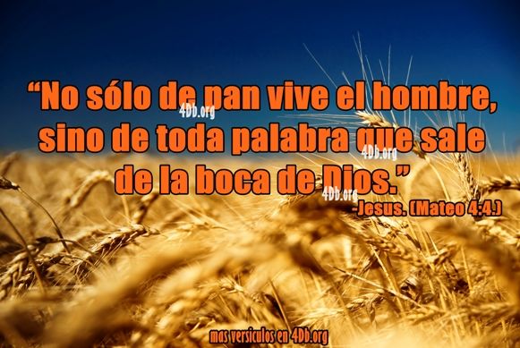 Eterno Jesús .- No solo de pan vive el hombre.