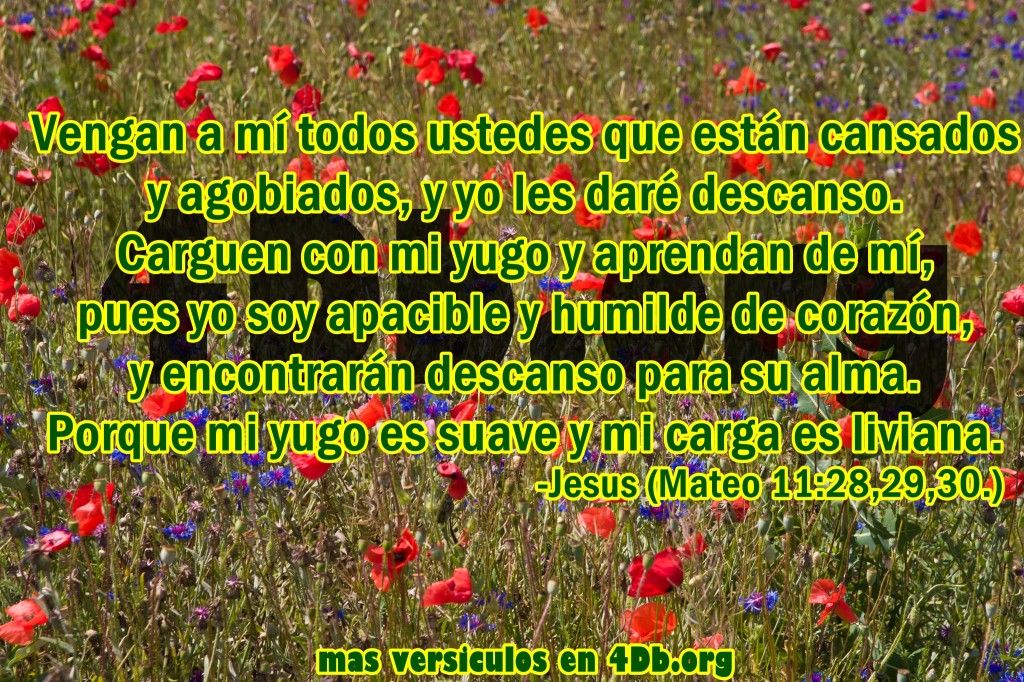 hermosa imagen que exalta el nombre de Dios
