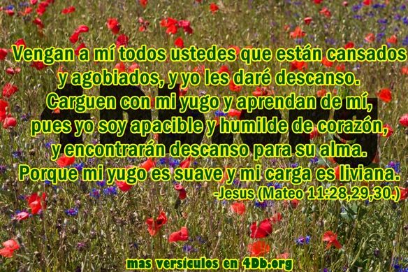 Eterno Jesús .- Vengan a mi todos.