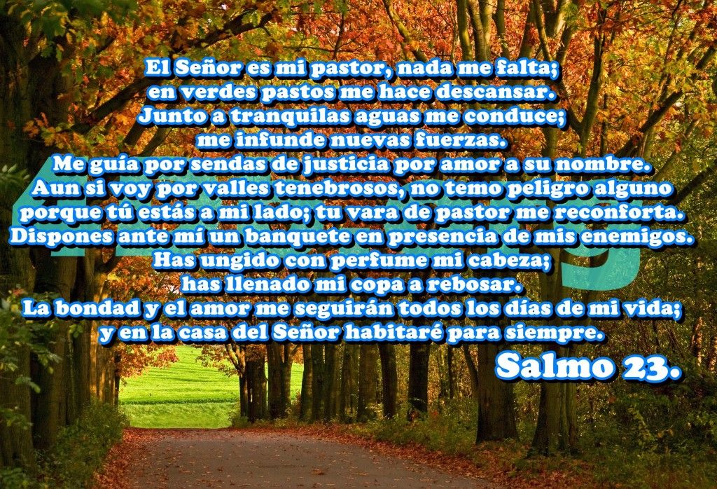 imagen de salmos 23