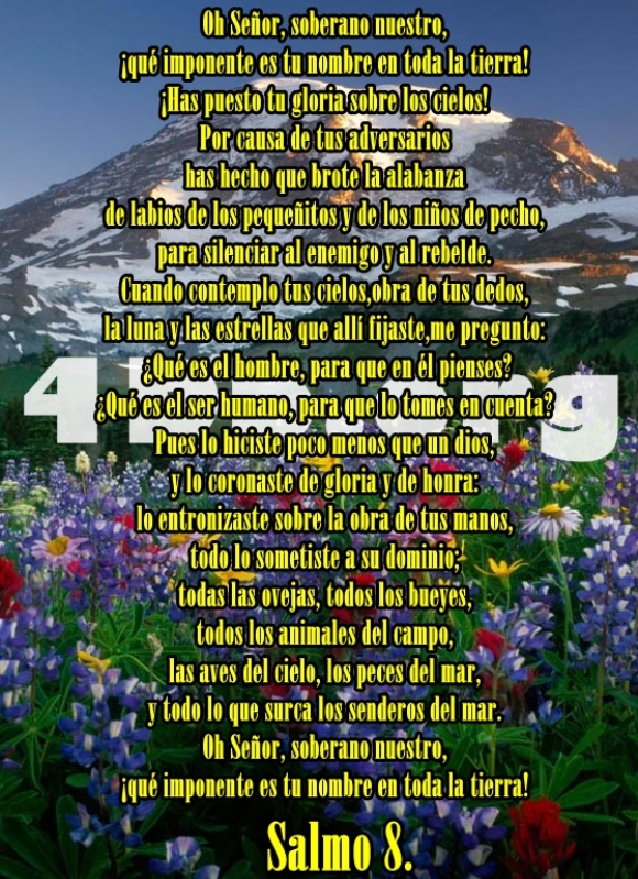 Salmo 8 Soberano nuestro.