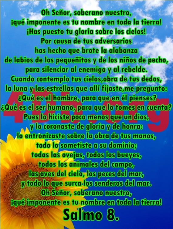 Salmos 8 De gloria. Salmos 8 De gloria.