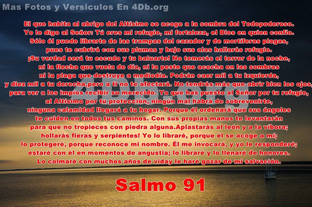 imagen de salmos 91