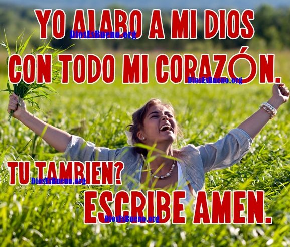 Yo Alabo a Dios