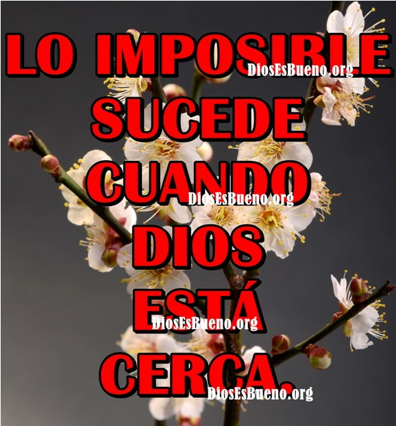 Lo Imposible Sucede