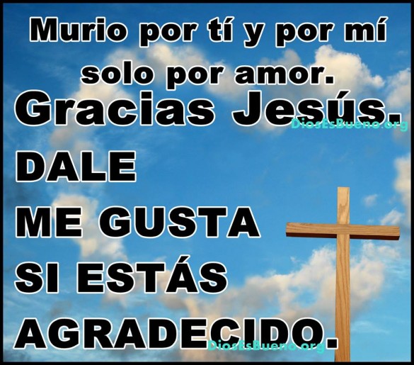 Murío Por Ti y Por mi solo por amor