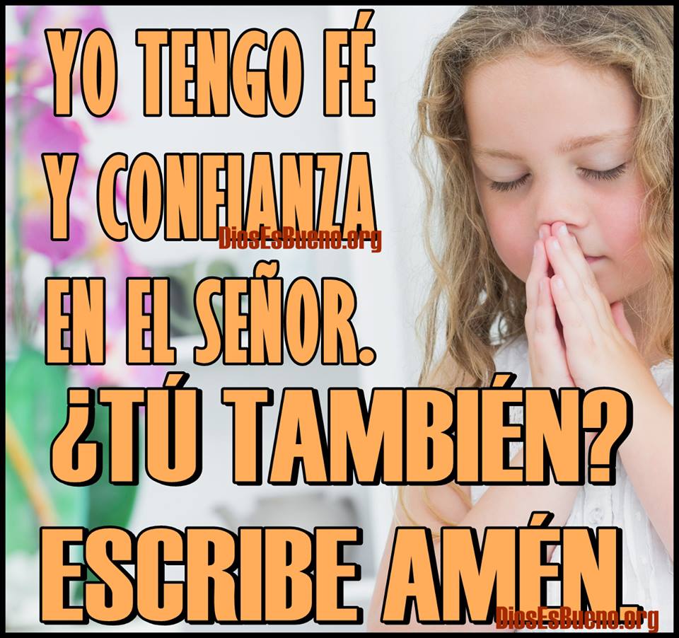 Frases, pensamientos y reflexiones + bellas imagenes