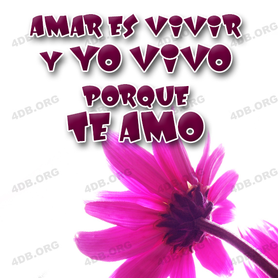 Amar Es Vivir