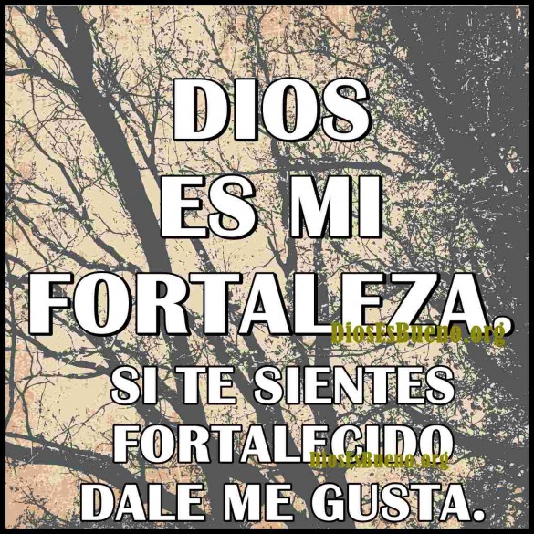 Dios Es Mi Fortaleza