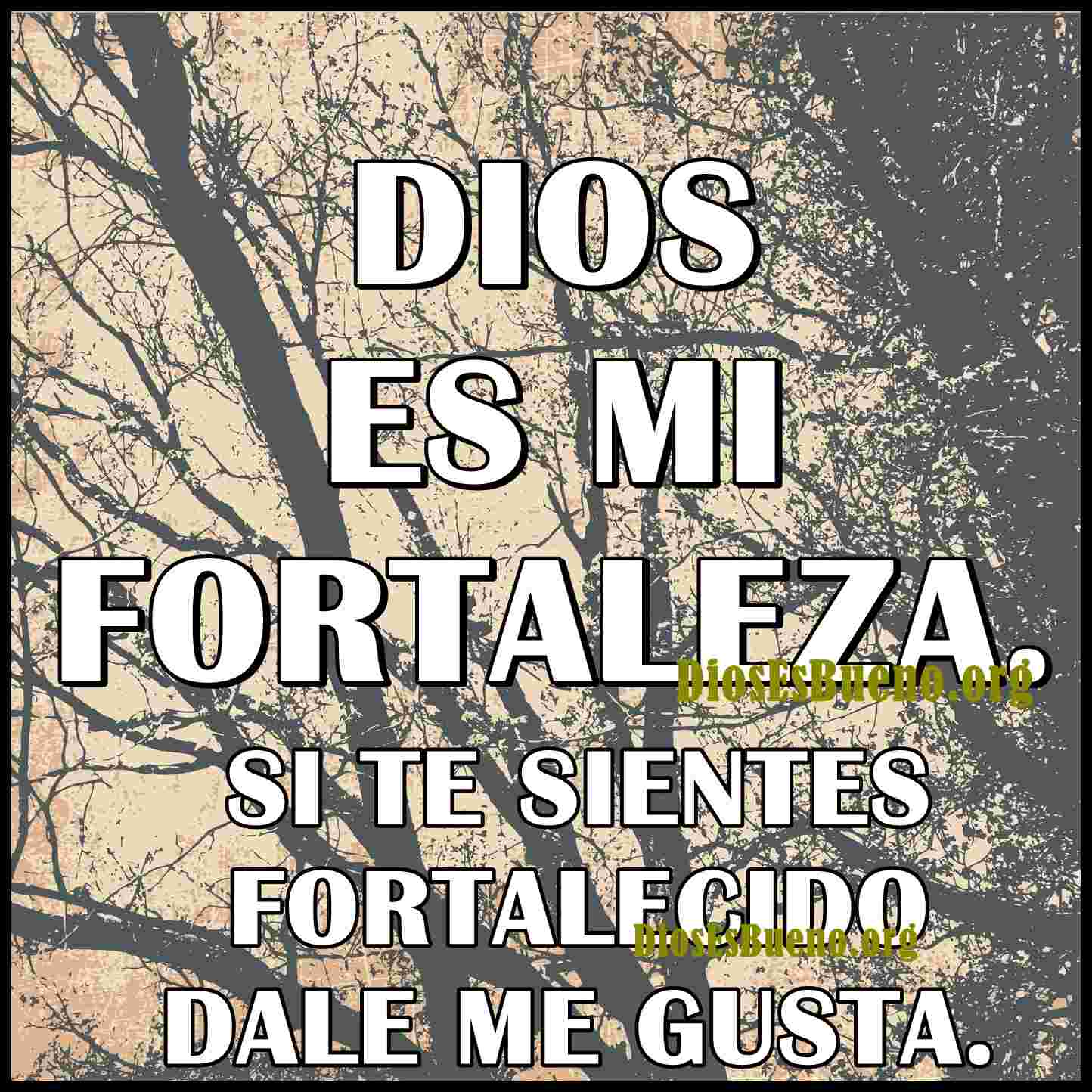 Dios Es Mi Fortaleza