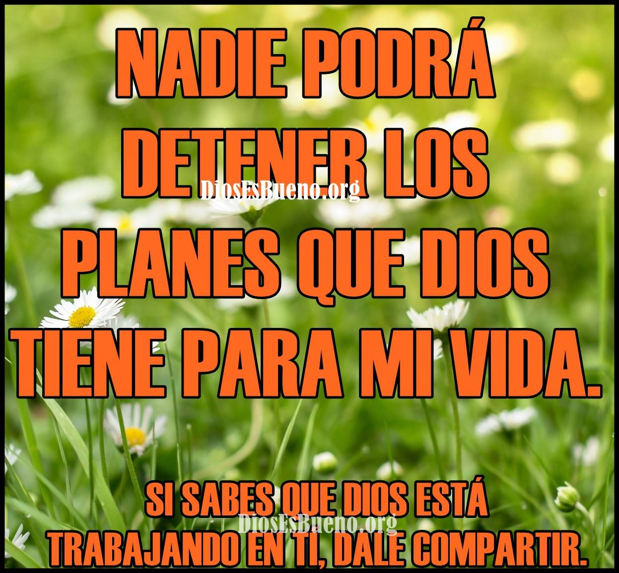 Nadie Podrá Detener