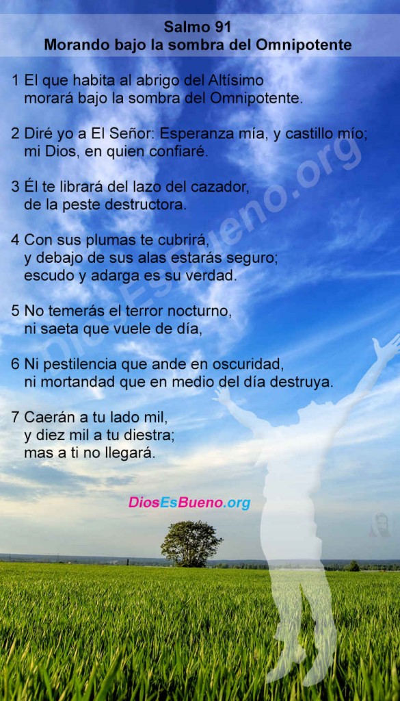 Salmos 91 Te Cubrirá