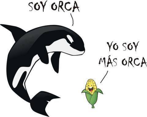 Soy Orca