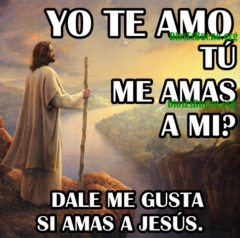 Yo Te amo