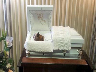 Velan perro en una funeraria en Puerto Rico