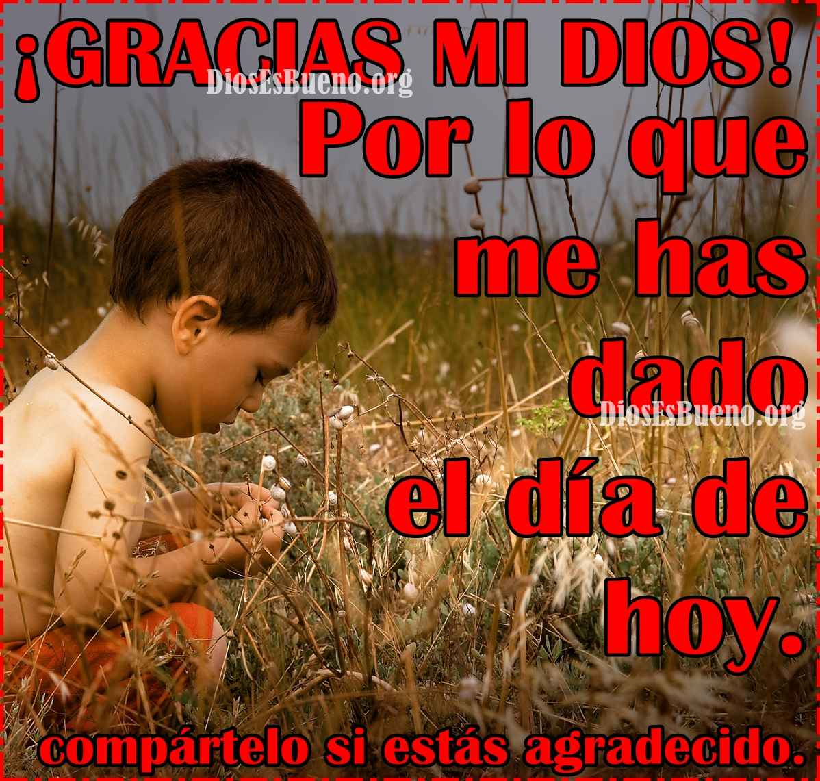 Gracias Mi Dios