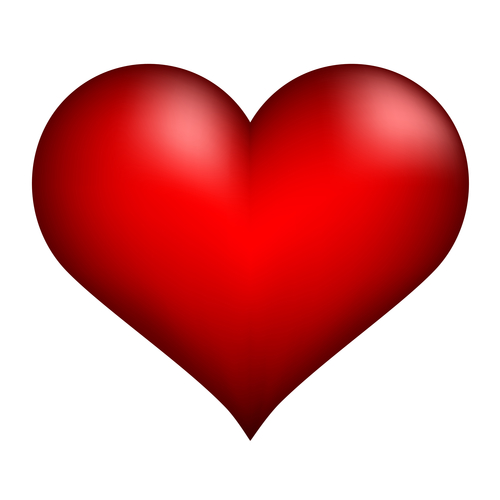 heart - illustration for the web