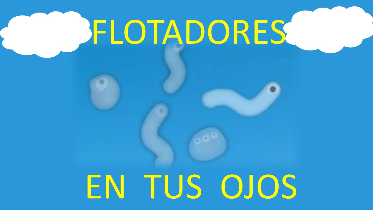 ¿Qué son esas cosas que vemos flotar en nuestros ojos?