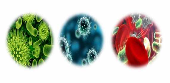 Bacterias que podemos encontrar en el baño.