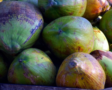 8 beneficios del aceite de coco para su cabello, piel, uñas y salud en general