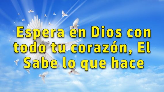 Espera en Dios con todo tu corazón, El Sabe lo que hace