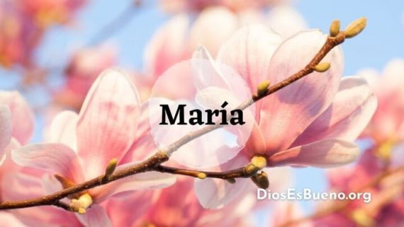 Mujeres valientes de la Biblia
