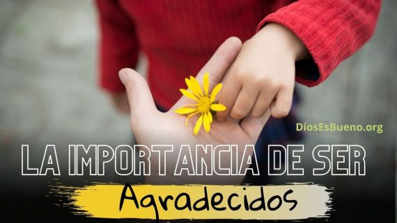 ser agradecidos