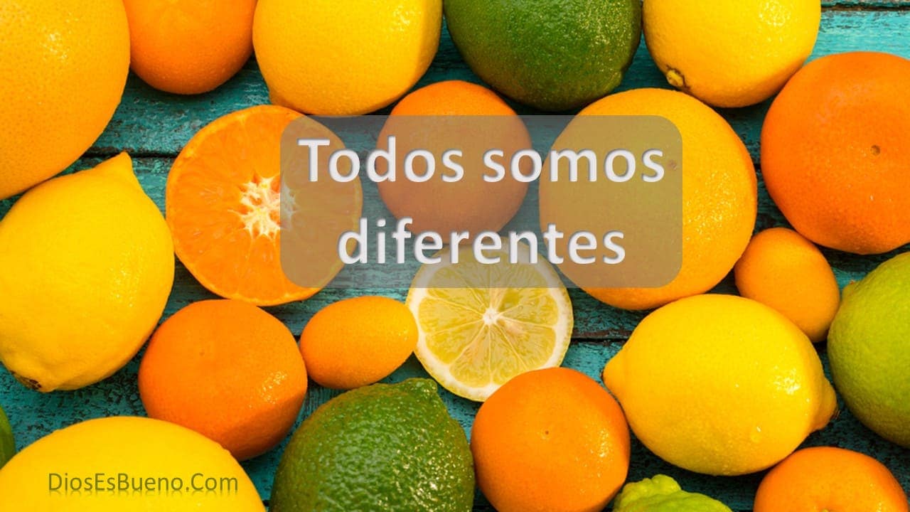 ¡Todos Somos Diferentes!